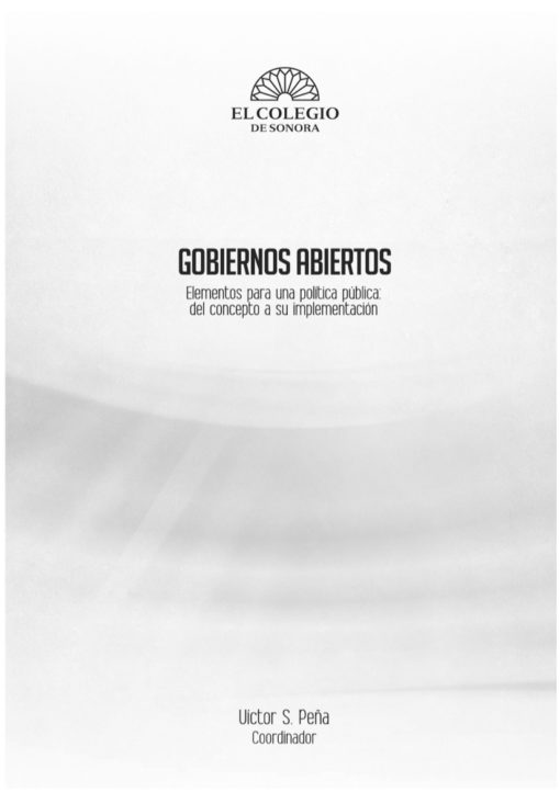 Gobiernos abiertos - Image 2