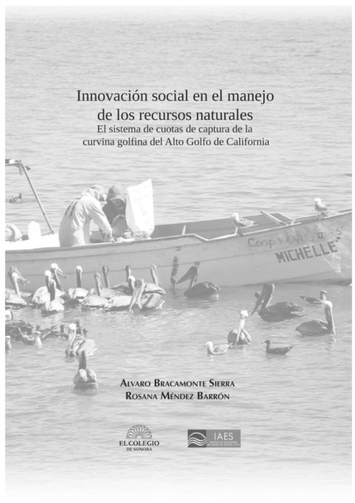 Innovación social en el manejo de los recursos naturales - Image 2